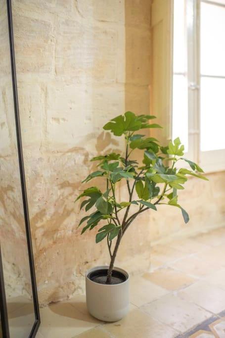 Chic, Stylish & Spacious Flat In Central 발레타 외부 사진